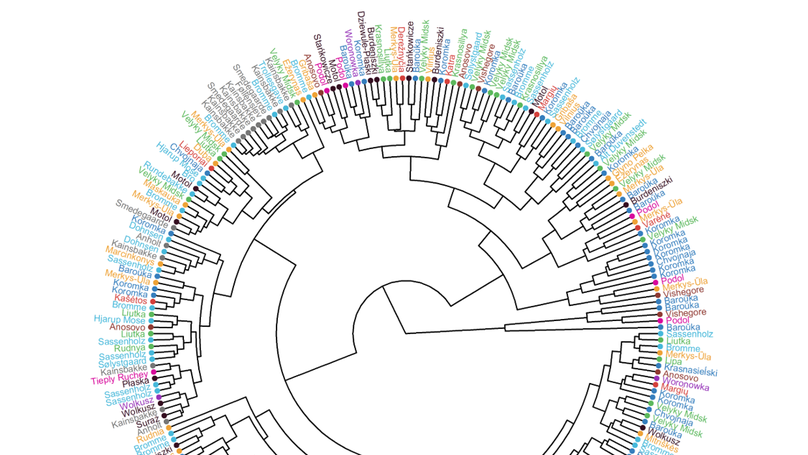 All these fantastic cultures? Research history and regionalization in the late Palaeolithic tanged point cultures of Eastern Europe
